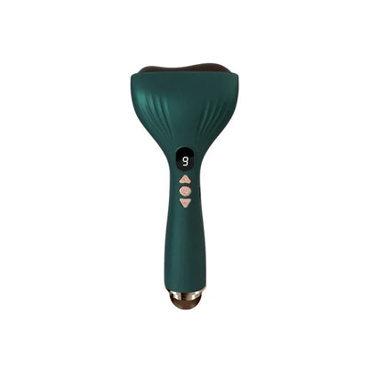 Handheld Bian Stone Meridian Roller